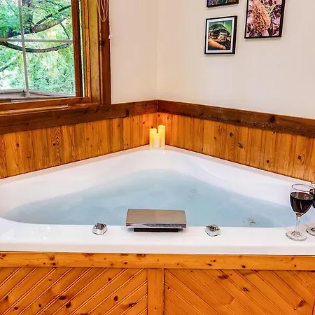 Love Ridge Mountain Lodging Lyndhurst Extérieur photo