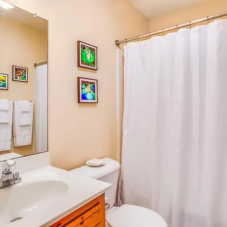 Love Ridge Mountain Lodging Lyndhurst Extérieur photo