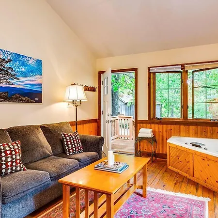 Love Ridge Mountain Lodging Lyndhurst Extérieur photo