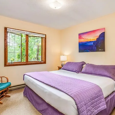Love Ridge Mountain Lodging Lyndhurst Extérieur photo