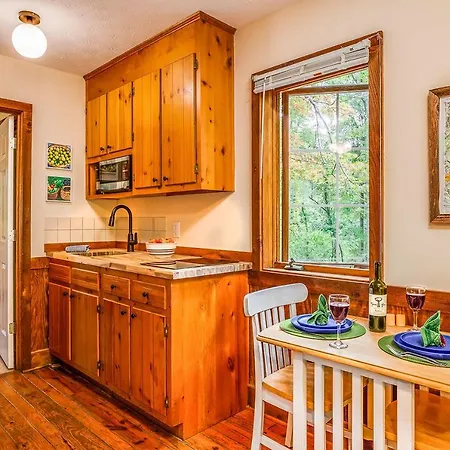 Love Ridge Mountain Lodging Lyndhurst Extérieur photo