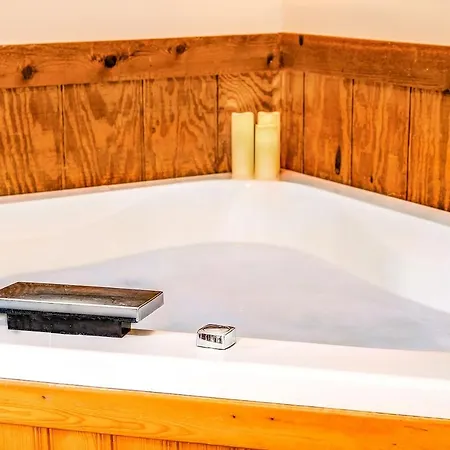 Love Ridge Mountain Lodging Lyndhurst Extérieur photo