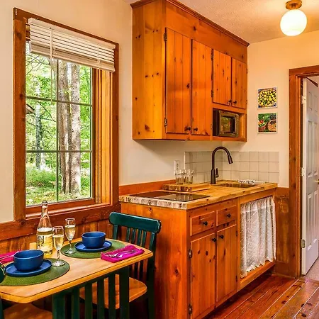 Love Ridge Mountain Lodging Lyndhurst Extérieur photo
