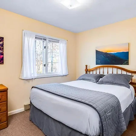 Love Ridge Mountain Lodging Lyndhurst Extérieur photo