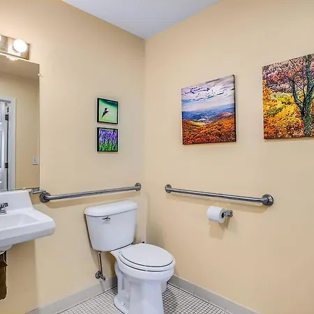 Love Ridge Mountain Lodging Lyndhurst Extérieur photo