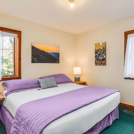 Love Ridge Mountain Lodging Lyndhurst Extérieur photo