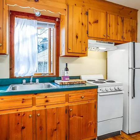 Love Ridge Mountain Lodging Lyndhurst Extérieur photo