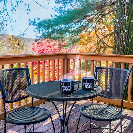 Love Ridge Mountain Lodging Lyndhurst Extérieur photo
