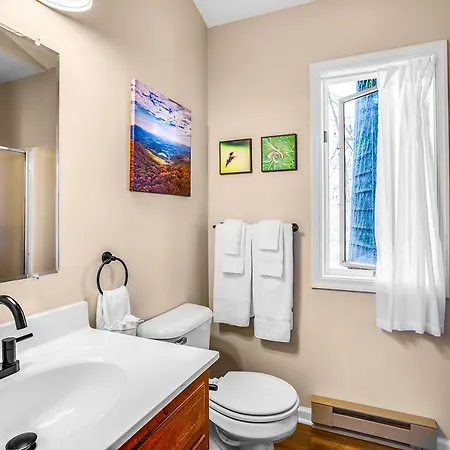 Love Ridge Mountain Lodging Lyndhurst Extérieur photo