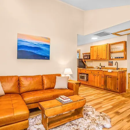 Love Ridge Mountain Lodging Lyndhurst Extérieur photo