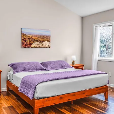 Love Ridge Mountain Lodging Lyndhurst Extérieur photo