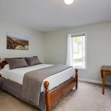 Love Ridge Mountain Lodging Lyndhurst Extérieur photo