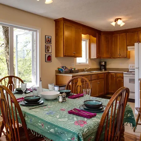 Love Ridge Mountain Lodging Lyndhurst Extérieur photo