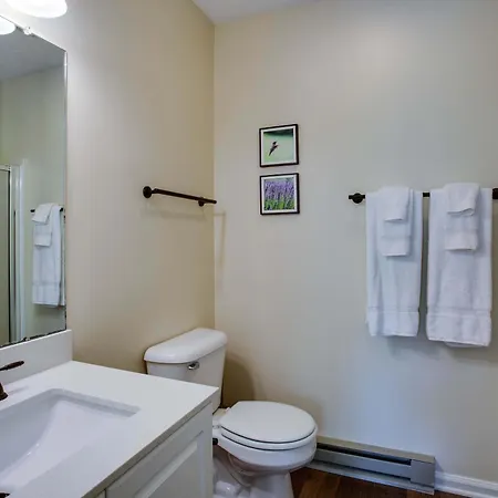 Love Ridge Mountain Lodging Lyndhurst Extérieur photo