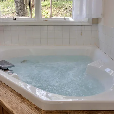 Love Ridge Mountain Lodging Lyndhurst Extérieur photo