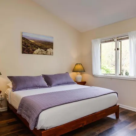Love Ridge Mountain Lodging Lyndhurst Extérieur photo