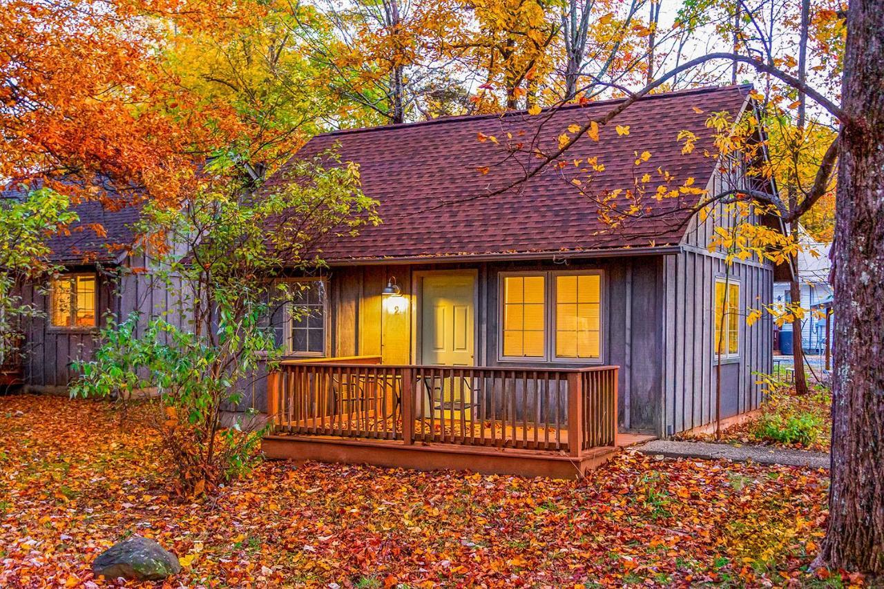 Ferienhaus Ridge Mountain Lyndhurst